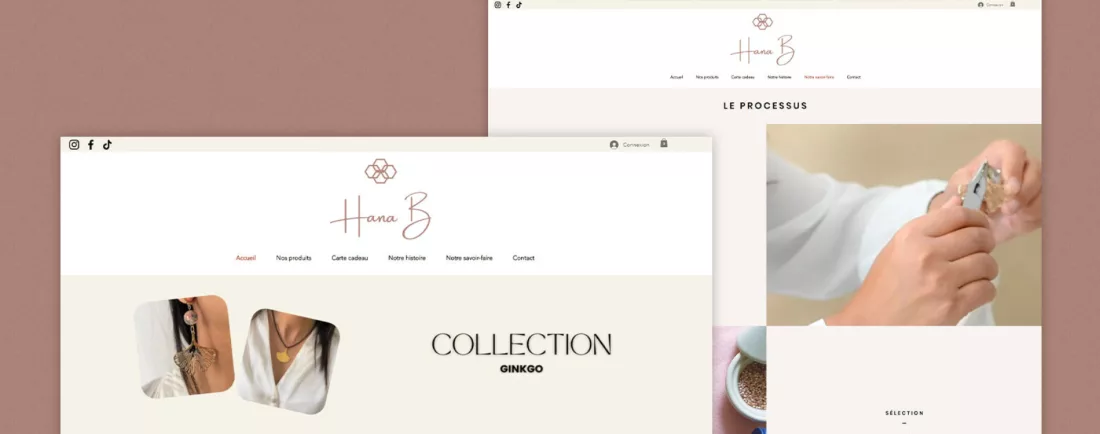 Hana B, visuel du projet