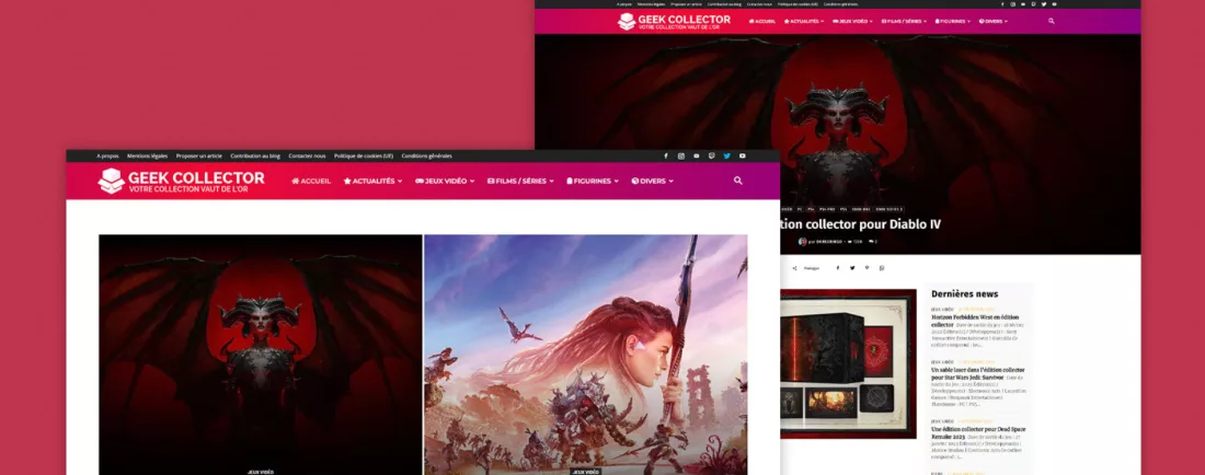 Geek-Collector.fr, visuel du projet