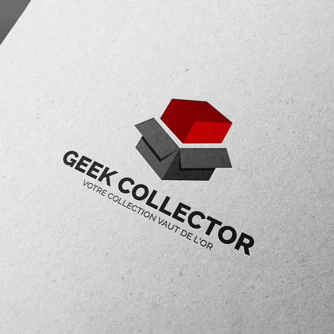 Geek-Collector.fr, visuel du projet